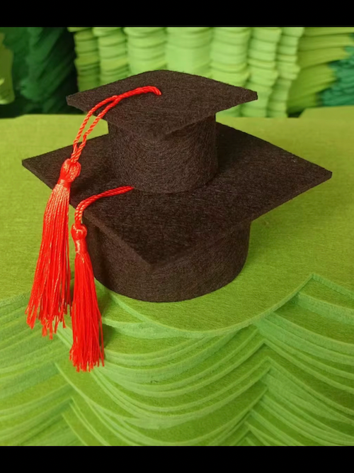 Graduation Cap & Tassel